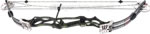 Hoyt ProElite Camo - click for more information