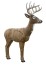 Rinehart Jimmy Big Tine Woodland Buck - click for more information