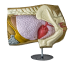 Rinehart Table Top Anatomy Deer - click for more information