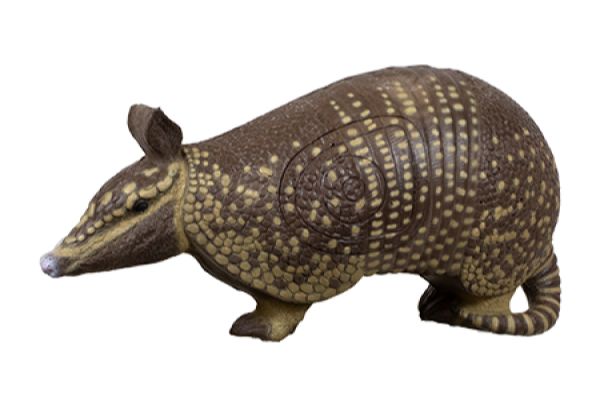 Rinehart Armadillo large image. Click to return to Rinehart Armadillo price and description