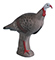 Rinehart Alert Turkey - click for more information