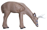 Rinehart Broadhead Buck - click for more information