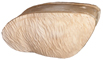 Rinehart Catalina Goat Insert - click for more information