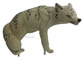 Rinehart Coyote - click for more information