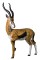 Rinehart Gazelle - click for more information