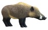 Rinehart Hogzilla - click for more information