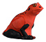 Rinehart Poisonous Frog - click for more information