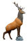 Rinehart Red Stag - click for more information
