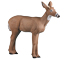 Rinehart Spike Buck - click for more information
