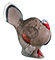 Rinehart Strutting Turkey - click for more information