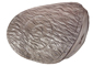 Rinehart Woodland Boar Insert - click for more information
