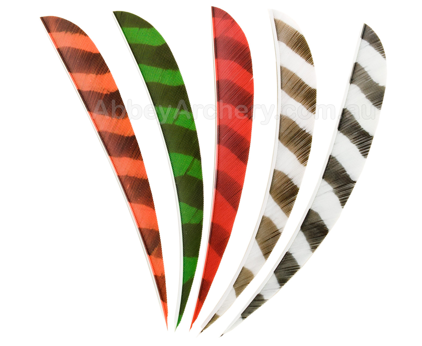 Trueflight Parabolic Right Wing Feathers 4" Orange 100 Pack 