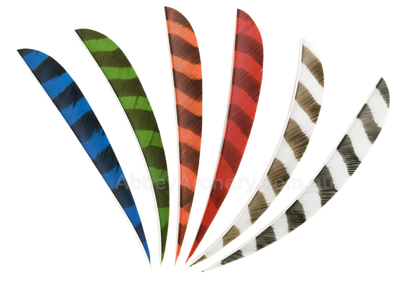 Trueflight 5in Parabolic Barred Feathers 25pk large image. Click to return to Trueflight 5in Parabolic Barred Feathers 25pk price and description