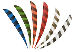 Trueflight 5in Parabolic Barred Feathers 100pk image