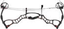 Hoyt Vector 35 Camo - click for more information