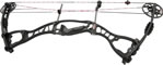 Hoyt Vicxen Target - click for more information