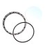 Viper Lens Kit, Retainer Ring and O-Ring - click for more information
