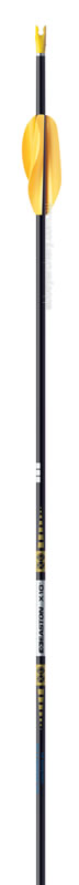 ARROWS SHAFTS products