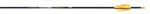 Easton X10 arrow dozen - click for more information