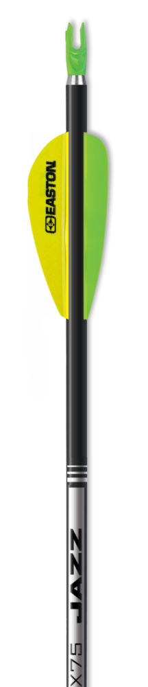 Easton XX75 Jazz Black arrow with economy points dozen image