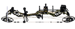 Bear Warrant RTH - click for more information