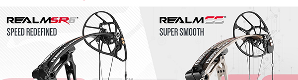 Botech Realm SR6 and Realm SS