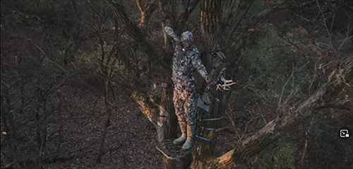 Mathews Archery 2023 Bows